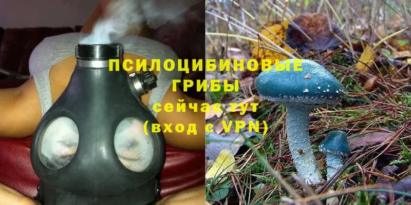 Псилоцибиновые грибы MAGIC MUSHROOMS  нарко площадка телеграм  Нарьян-Мар 